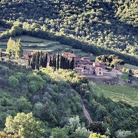 Residenza Antico Chianti Guest House Panzano in Chianti Eksteriør bilde