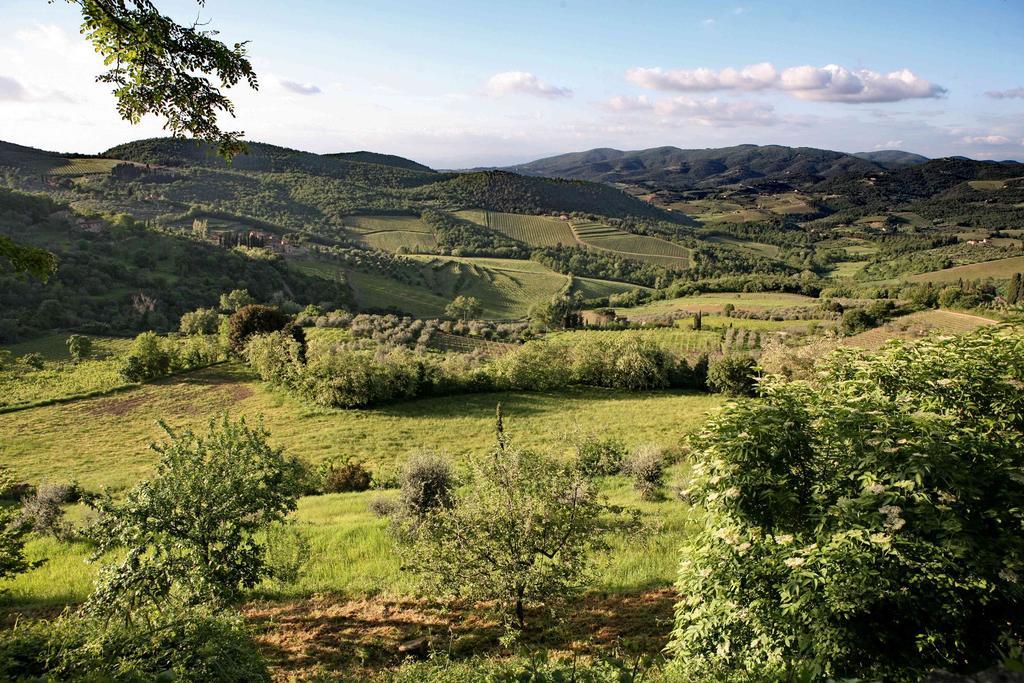Residenza Antico Chianti Guest House Panzano in Chianti Eksteriør bilde
